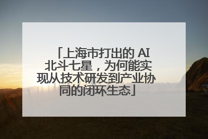 上海市打出的 AI 北斗七星，为何能实现从技术研发到产业协同的闭环生态