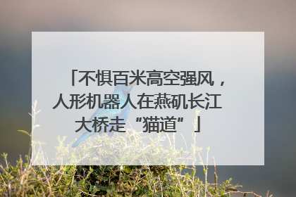 不惧百米高空强风，人形机器人在燕矶长江大桥走“猫道”