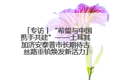 专访丨“希望与中国携手共建”——土耳其加济安泰普市长期待古丝路重镇焕发新活力
