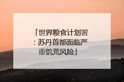 世界粮食计划署：苏丹首都面临严重饥荒风险