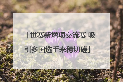 世赛新增项交流赛 吸引多国选手来穗切磋