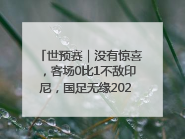 世预赛｜没有惊喜，客场0比1不敌印尼，国足无缘2026年世界杯