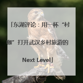 东湖评论：用一杯“村咖”打开武汉乡村旅游的Next Level