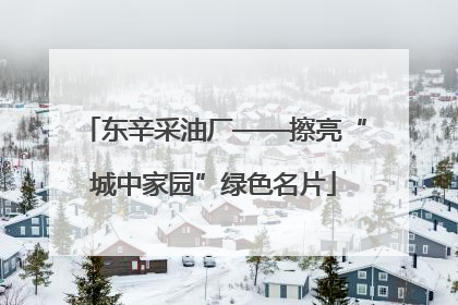 东辛采油厂——擦亮“城中家园”绿色名片