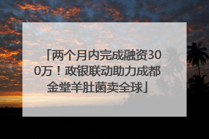 两个月内完成融资300万！政银联动助力成都金堂羊肚菌卖全球