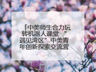中美师生合力玩转机器人课堂 “遇见湾区”中美青年创新探索交流营在深圳开营