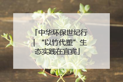 中华环保世纪行｜“以竹代塑”生态实践在宜宾