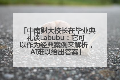 中南财大校长在毕业典礼谈Labubu：它可以作为经典案例来解析，AI难以给出答案