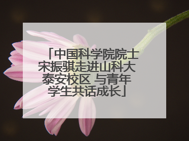 中国科学院院士宋振骐走进山科大泰安校区 与青年学生共话成长