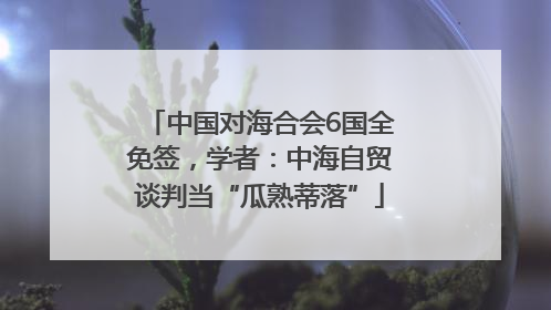 中国对海合会6国全免签，学者：中海自贸谈判当“瓜熟蒂落”