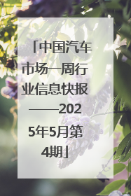 中国汽车市场一周行业信息快报——2025年5月第4期