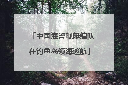 中国海警舰艇编队在钓鱼岛领海巡航