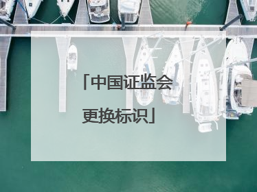 中国证监会更换标识