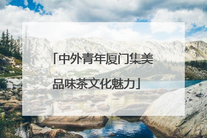 中外青年厦门集美品味茶文化魅力