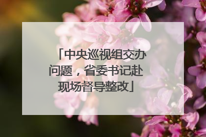中央巡视组交办问题，省委书记赴现场督导整改