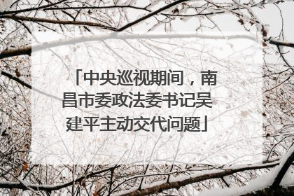中央巡视期间，南昌市委政法委书记吴建平主动交代问题