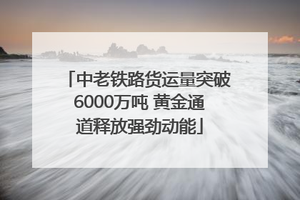 中老铁路货运量突破6000万吨 黄金通道释放强劲动能