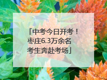 中考今日开考！枣庄6.3万余名考生奔赴考场