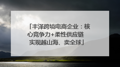 丰泽跨境电商企业：核心竞争力+柔性供应链 实现越山海、卖全球