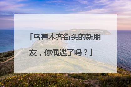 乌鲁木齐街头的新朋友，你偶遇了吗？