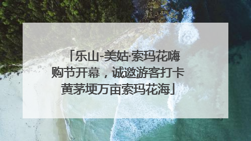 乐山-美姑·索玛花嗨购节开幕，诚邀游客打卡黄茅埂万亩索玛花海