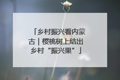 乡村振兴看内蒙古｜樱桃树上结出乡村“振兴果”