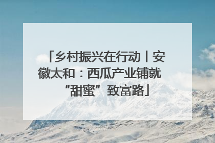 乡村振兴在行动丨安徽太和：西瓜产业铺就“甜蜜”致富路