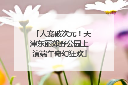 人宠破次元！天津东丽郊野公园上演端午奇幻狂欢