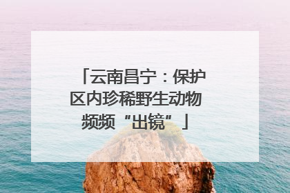 云南昌宁：保护区内珍稀野生动物频频“出镜”