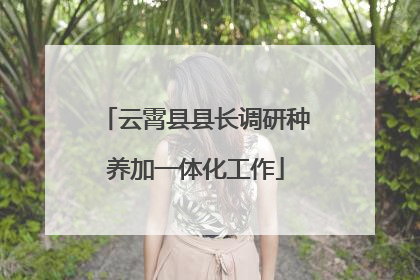 云霄县县长调研种养加一体化工作
