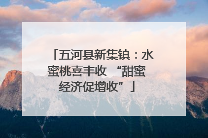 五河县新集镇：水蜜桃喜丰收 “甜蜜经济促增收”