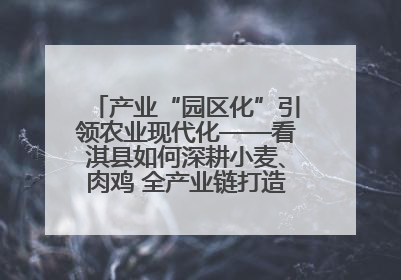 产业“园区化”引领农业现代化——看淇县如何深耕小麦、肉鸡 全产业链打造现代农业产业园