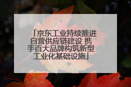 京东工业持续推进自营供应链建设 携手百大品牌构筑新型工业化基础设施