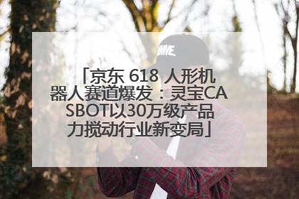 京东 618 人形机器人赛道爆发：灵宝CASBOT以30万级产品力搅动行业新变局