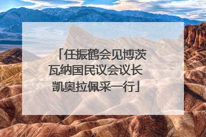 任振鹤会见博茨瓦纳国民议会议长凯奥拉佩采一行