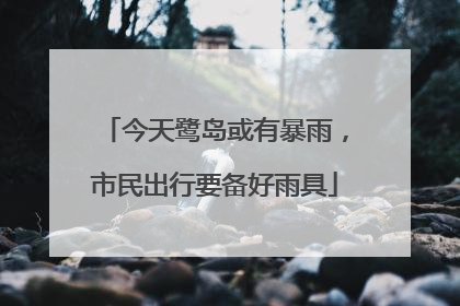 今天鹭岛或有暴雨，市民出行要备好雨具