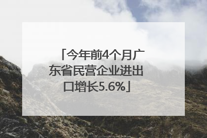 今年前4个月广东省民营企业进出口增长5.6%