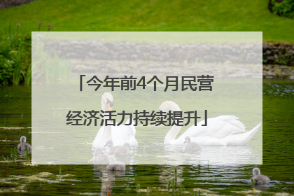 今年前4个月民营经济活力持续提升