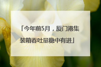 今年前5月，厦门港集装箱吞吐量稳中有进