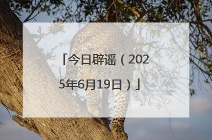今日辟谣（2025年6月19日）
