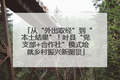 从“外出取经”到“本土结果”！叶县“党支部+合作社”模式绘就乡村振兴新图景