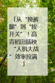 从“挽裤腿”到“按开关”！高青稻田插秧“人机大战”效率拉满