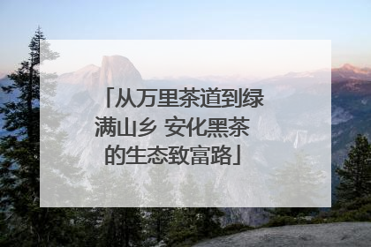 从万里茶道到绿满山乡 安化黑茶的生态致富路