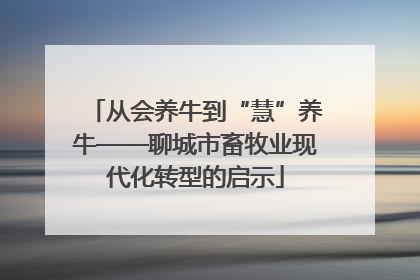 从会养牛到“慧”养牛——聊城市畜牧业现代化转型的启示