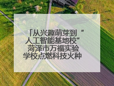从兴趣萌芽到“人工智能基地校” 菏泽市万福实验学校点燃科技火种，赋能未来人才