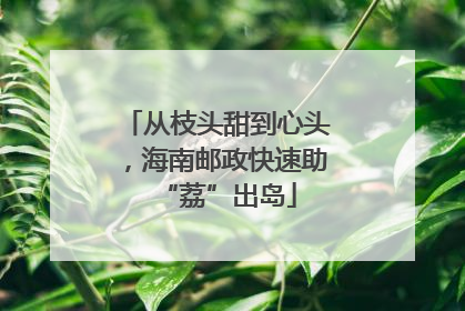 从枝头甜到心头，海南邮政快速助“荔”出岛