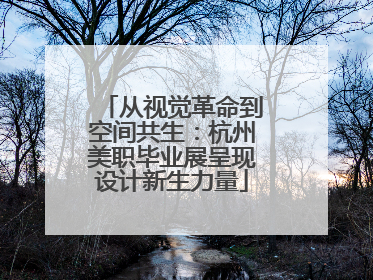 从视觉革命到空间共生：杭州美职毕业展呈现设计新生力量