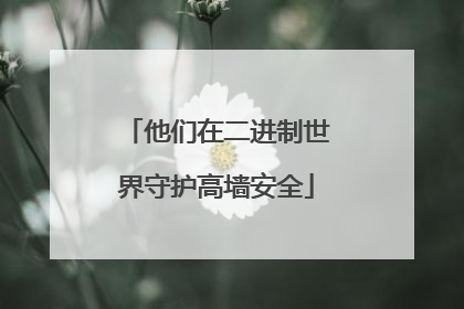 他们在二进制世界守护高墙安全