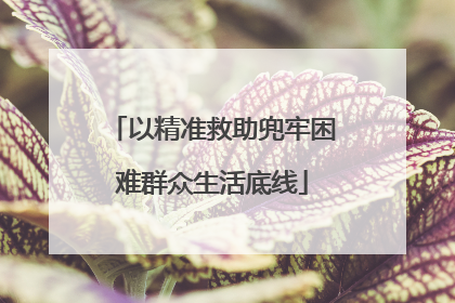 以精准救助兜牢困难群众生活底线