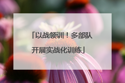 以战领训！多部队开展实战化训练